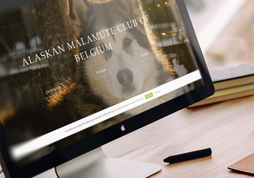 Noah Pijpers AMCB Noah Pijpers AMCB